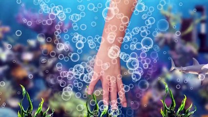 우리집 어항속 고래와 상어잡기2 [꼬꼬스토이] 어린이 만화 영상, 유아교육, 시즌5 45화-au8vLnPaqfA