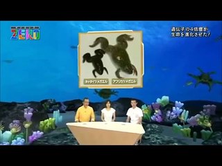 Popular Videos - サイエンスZERO