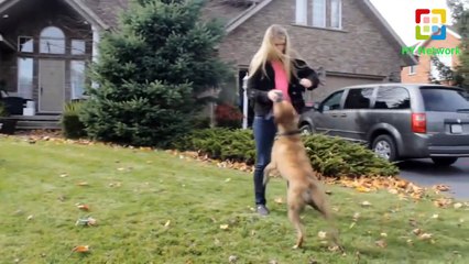 Zaid Ali & Shahveer Videos Compilation 2017 - Part 12