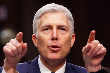Democrats show support for Supreme Court nominee Gorsuch