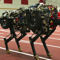 റോബോട്ടാണ്...പക്ഷെ ചീറ്റയെ പോലെ കുതിക്കും #Anweshanamtechnology