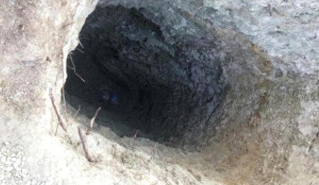 İzmir'de, Kaçak Tarihi Eser Kazısı Yapan 7 Kişi Gözaltına Alındı