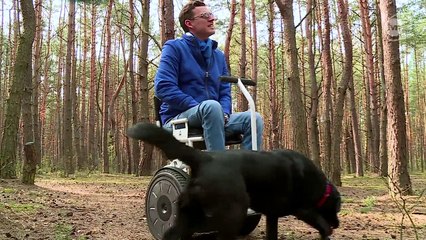 Blumil niezwykły wózek 2.04.2017 (2,08)