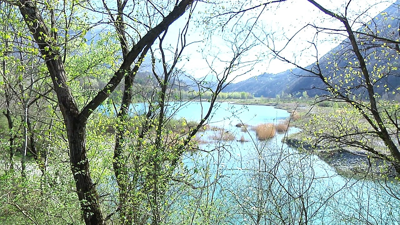 C'est pas mal chez vous - ST GEORGES DE COMMIERS