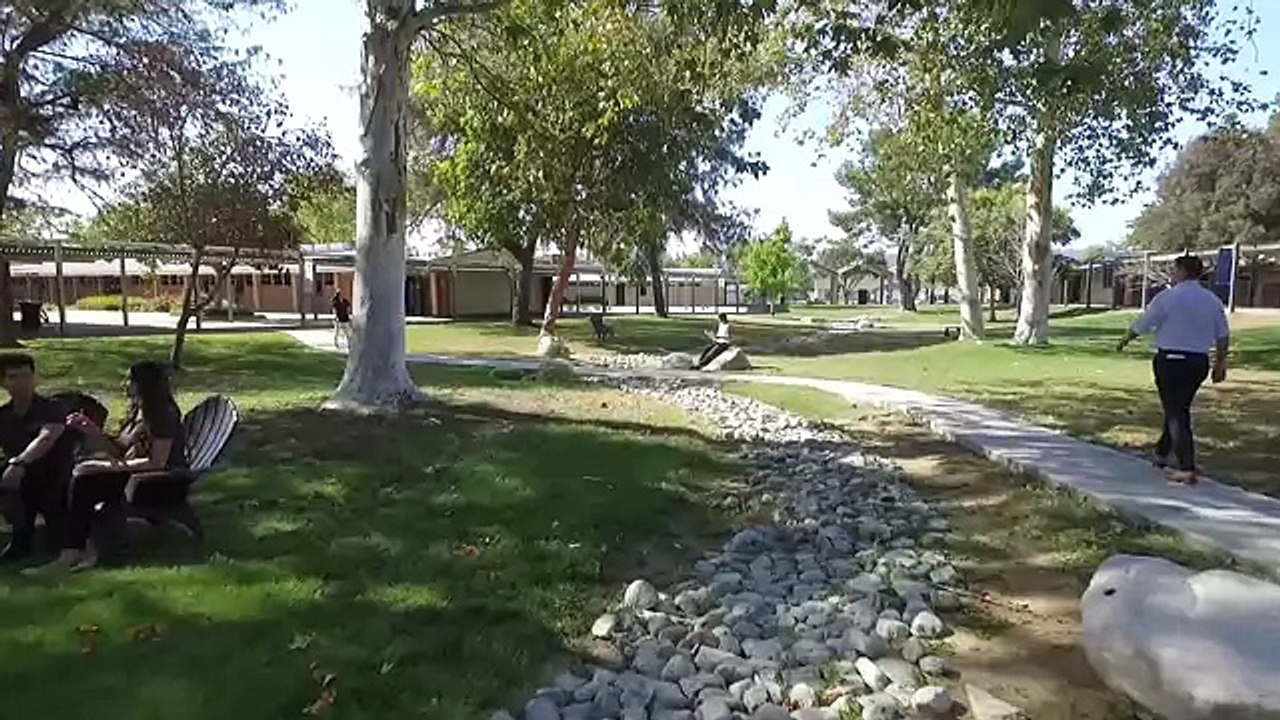 Best Chiropractic School in California