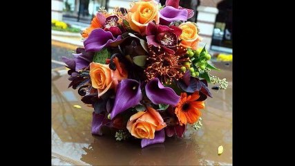 cheb Bouha (mehchemti) , الشاب بوحة (ما حشمتي)