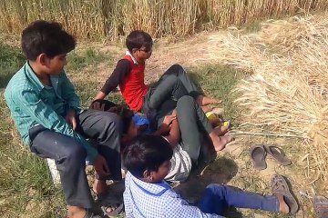 FARERA GEHU KATNI MACHINE