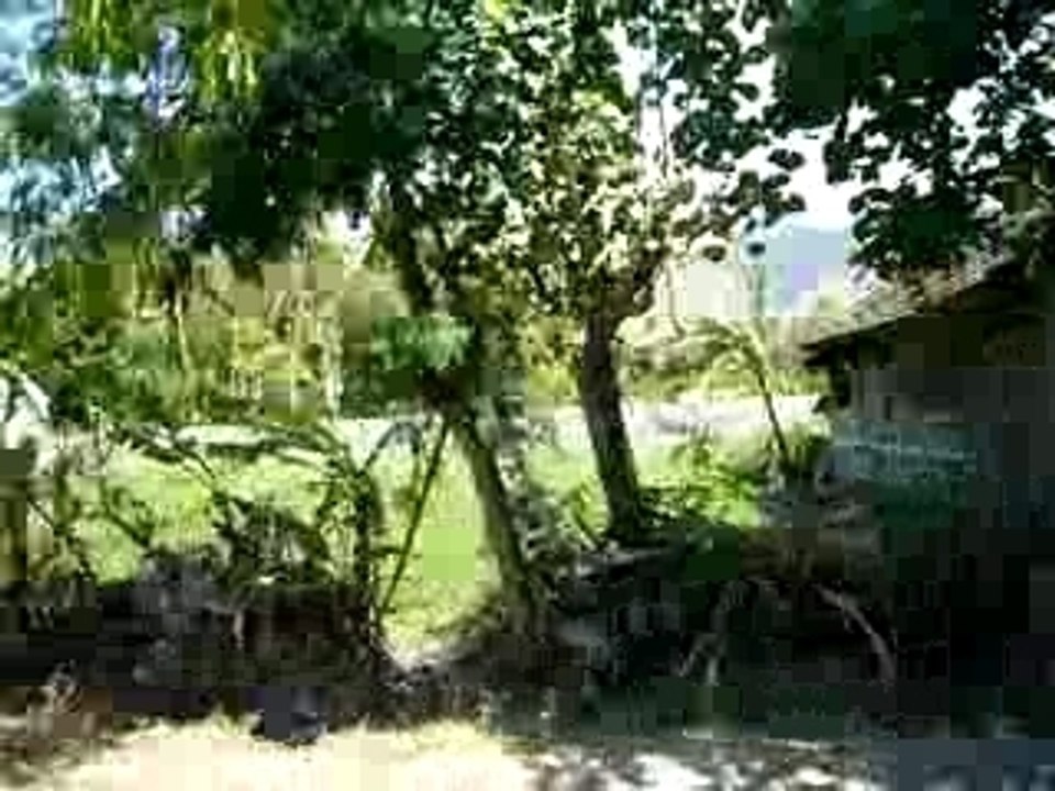 Bali - sept 2007