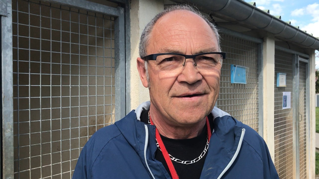 Un chien poignardé dans un refuge de la SPA