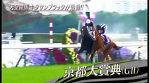 2016 第36回 ジャパンカップ(ＧＩ) 口取り～表彰式～武豊、北島三郎インタビュー 現地映像 キタサンブラック