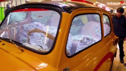 Лучшее видео COUB за Январь 2017 _ Best Video COUB January 2017 #6