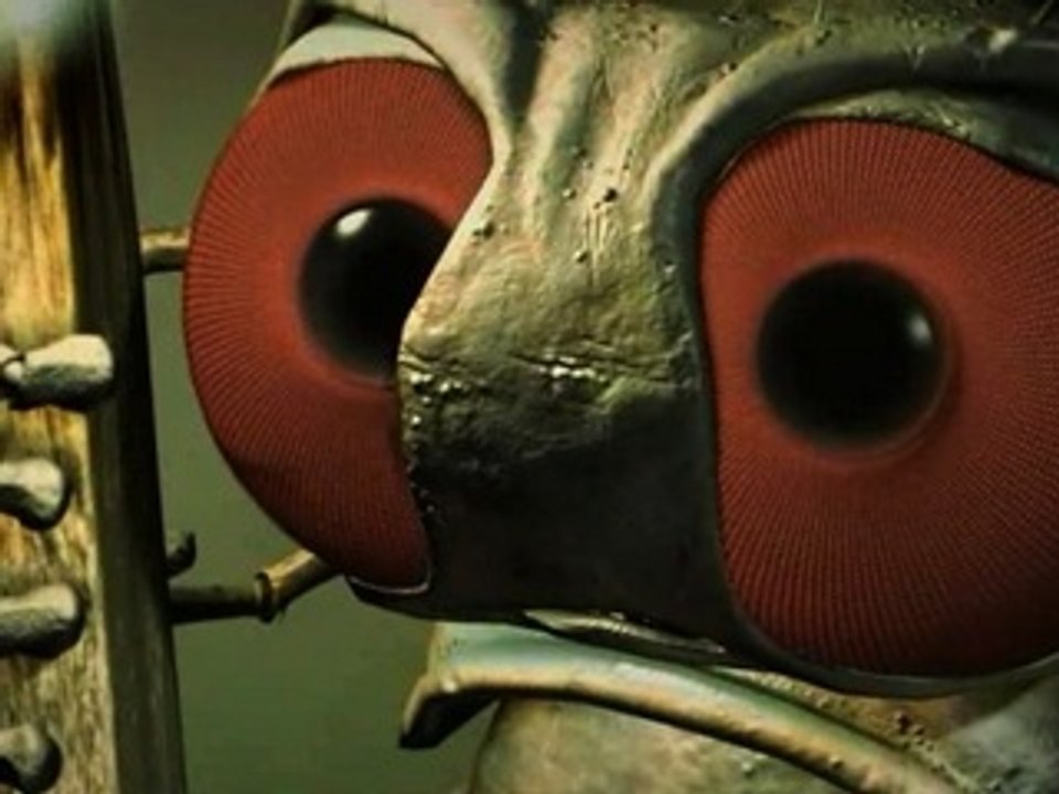 Petits Pois / Carottes