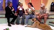 Mira lo Que Este León Le Hace A Este Niño En Pleno Programa de Televisión