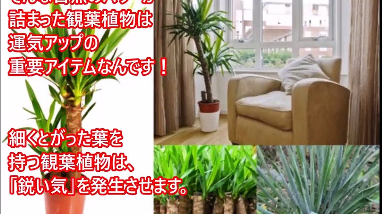 【不思議】危険！絶対やってはいけない運気が下がる自宅の が貧乏・不幸を招き寄せてしまう！
