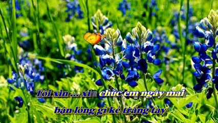 [Karaoke] ĐỜI TÔI CÔ ĐƠN - Đài Phương Trang (Giọng Nam)