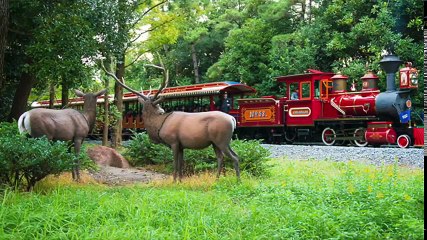 【作業用BGM】東京ディズニーランドメドレー《アトラクション音楽集》 part 2/3