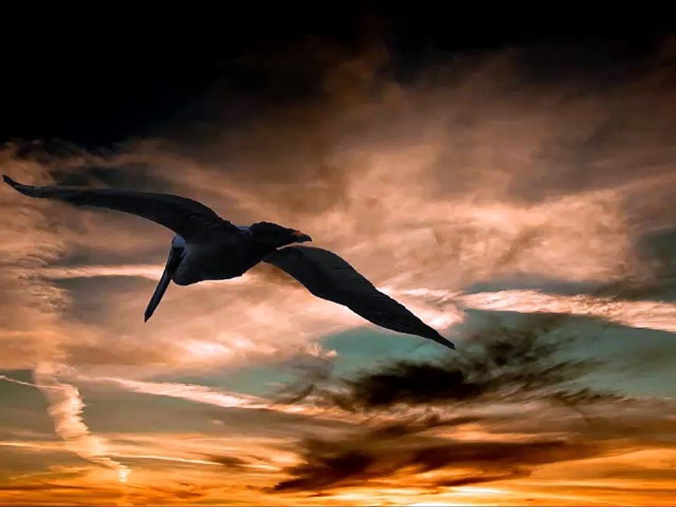 Connection Mantra with the Divine - Mantra de Ligação com o Divino