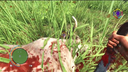Far Cry 3 Gameplay Part 119 - Path Of The Hunter - Goat Hide