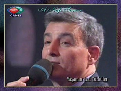 Ahmet Turan ŞAN - Keklik İdim Vurdular