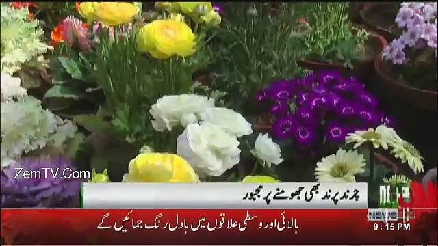 Neo News Bulletin – 3rd April 2017