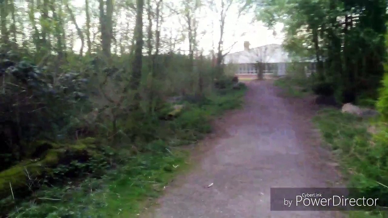 Einfach Jörgson-Ist dat Internet gut oder schlecht