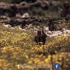 YAHUSHUA & A PARÁBOLA DA OVELHA PERDIDA
