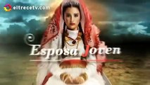 Esposa Joven 44