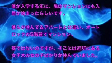 【大人の体験談】女子大生が合コンで泥酔。どれどれ…❤︎