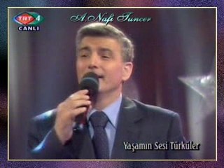 Ahmet Turan ŞAN - Bahçada Gül Ağacı