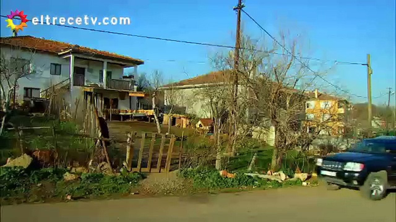 Esposa Joven 61