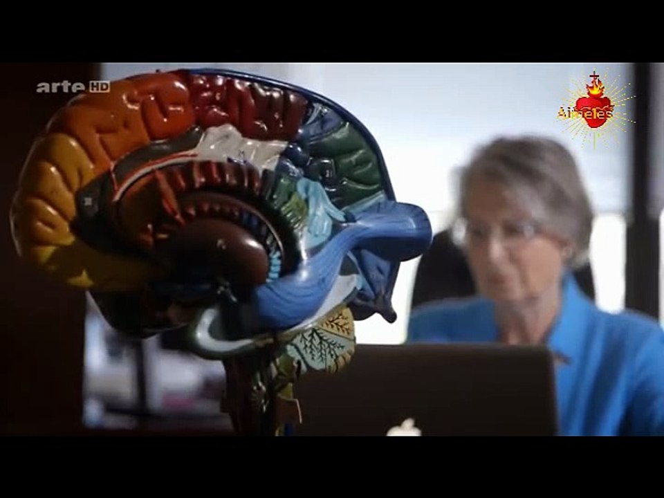 D'où vient le sentiment amour passion