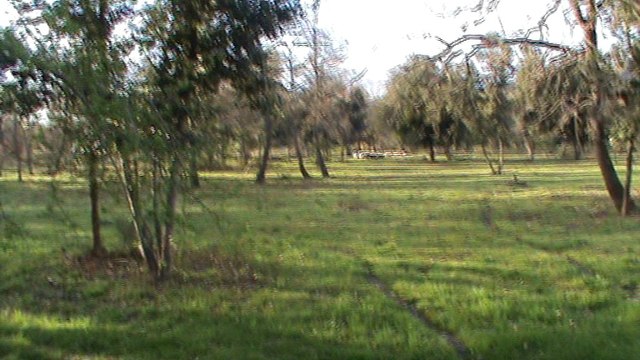 H'eve du blues des alpages