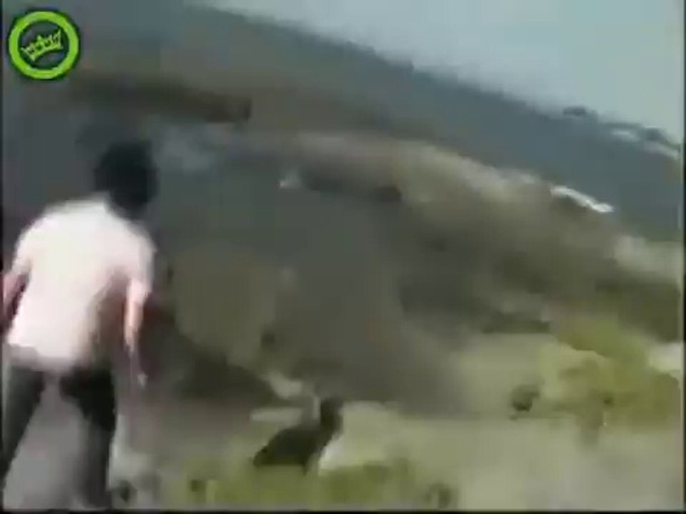 Wtf