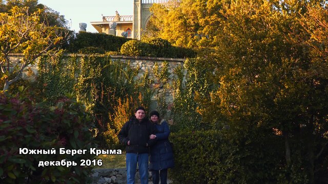 Южный Берег Крыма декабрь 2016