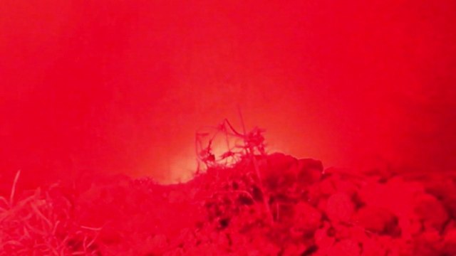 VideoDoom Episode I: In the Year 2525