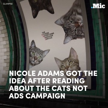 Cats not ads [Mic Archives]