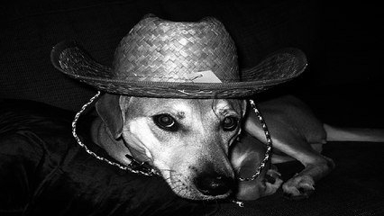 「아달」대구마사지 대구안마  대구휴게텔