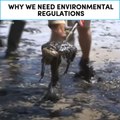 Why we need environmental regulations  [Mic Archives]