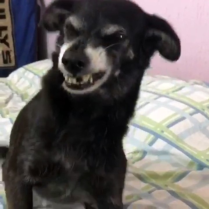 The Cutest Smile