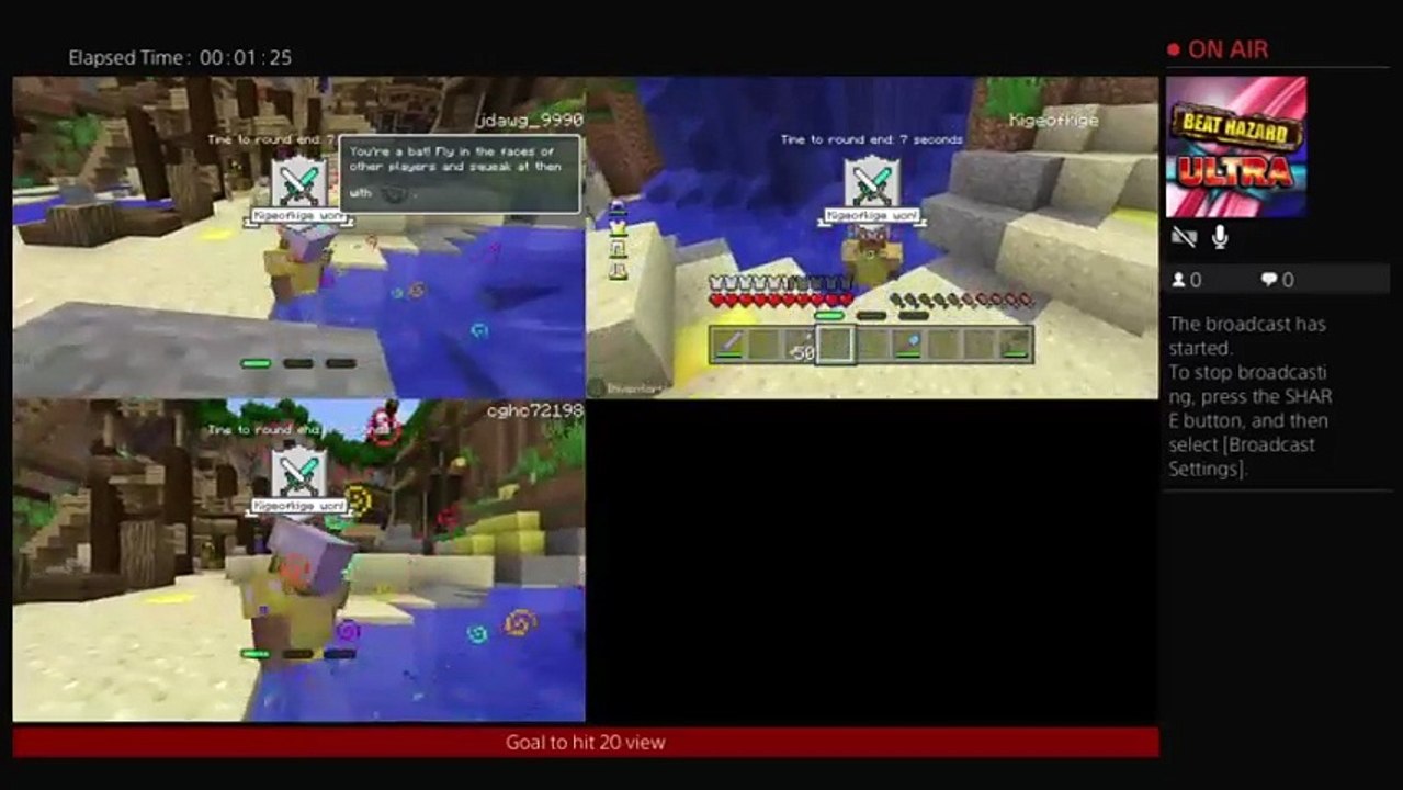 Minecraft (10)