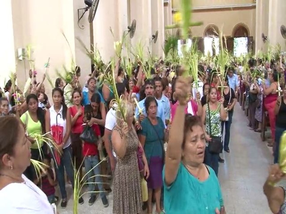 Domingo de ramos la llegada del mesias