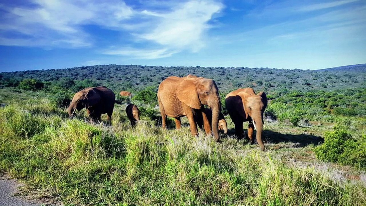 South Africa Spring 2017 part I