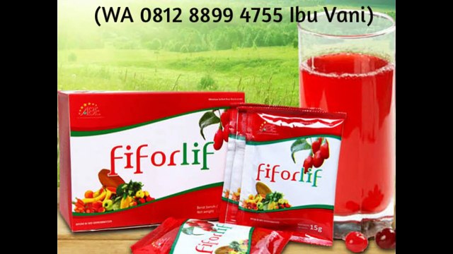 (WA 0812 8899 4755 Ibu Vani),AGEN FIFORLIF Papua RESMI ,HARGA FIFORLIF Papua