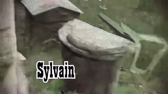 SYLVAIN LE CHRIST COSMIQUE FEAT HEIDI YouTube 360p-Pd1S4WmBC28