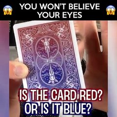 you won't believe your eyes after watching this trick