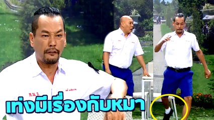 ชิงร้อยชิงล้าน ว้าว ว้าว ว้าว | เท่งมีเรื่องกับหมา ฮามากๆ