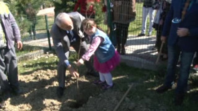 Otizme Farkındalık Oluşturmak İçin Fidan Diktiler