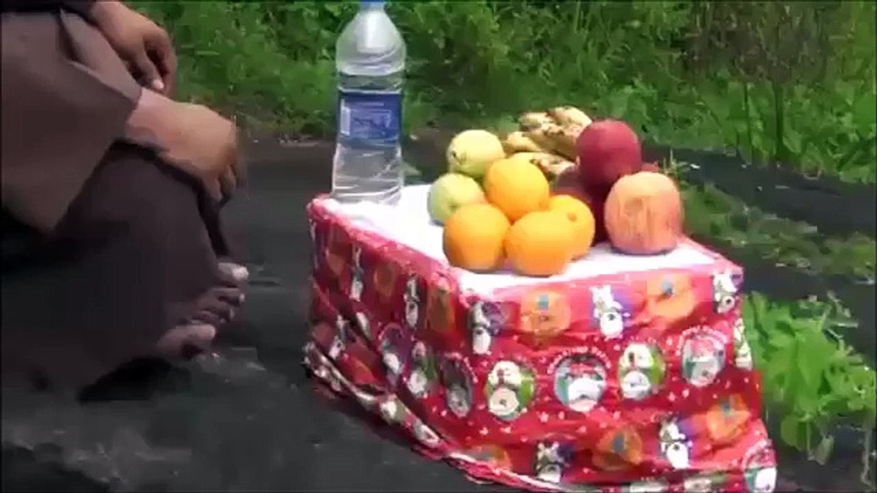 No cash fun video