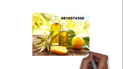 081-657-4300 (Indosat) Jual Minyak Zaitun Rembang
