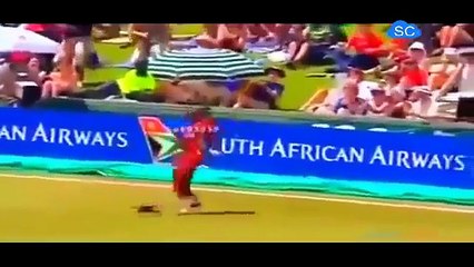 The Best catches in cricket history of all time